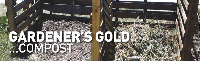Gardener's Gold…Compost
