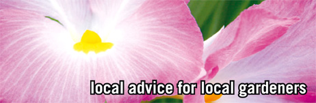 local advice for local gardeners