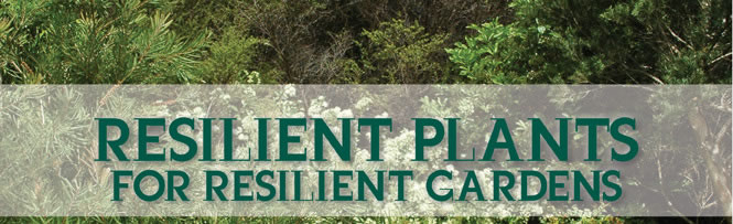 Resilient Plants Resilient Plants