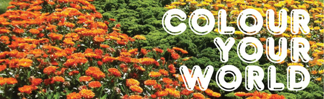 Colour Your World Colour Your World