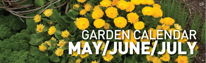 Garden Calendar - FEB/MAR/APR