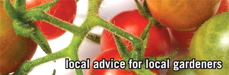 local advice for local gardeners