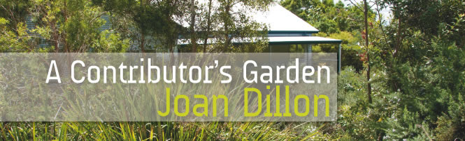 A Contributor’s Garden