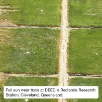 Full sun wear trials at DEEDI’s Redlands Research Station, Cleveland, Queensland.
