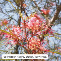 Spring Bluff Railway Station, Toowomba