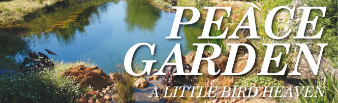 Peace Garden