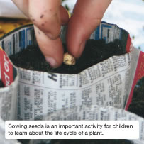 Sowing seeds is an important activity for children to learn about the life cycle of a plant.