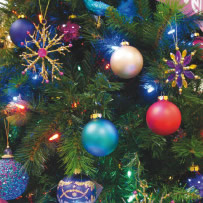 Christmas Trees
