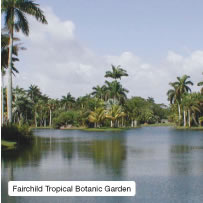 Fairchild Tropical Botanic Garden