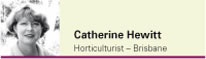 View contributor profile Catherine Hewitt