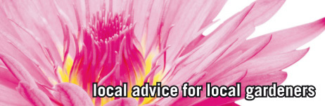 local advice for local gardeners