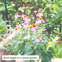 Brick edges to a raised garden.