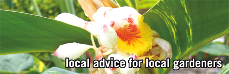 local advice for local gardeners with subTropical Gardening magazine