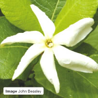 Image John Beasley 