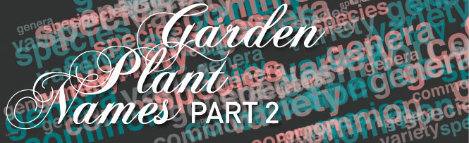 Garden plant names