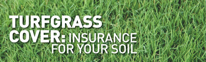 Turfgrass Cover