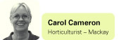 View contributor profile Carol Cameron