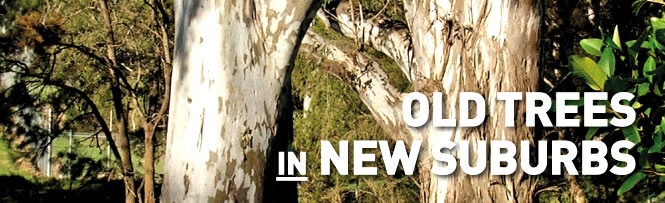Old Trees in New Suburbs
