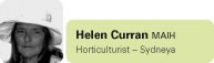View contributor profile Helen Curran