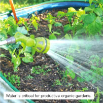 Water is critical for productive organic gardens.
