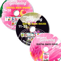 Digital Back Issues