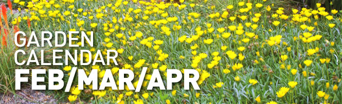 Garden Calendar