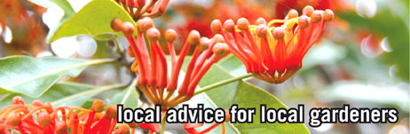 local advice for local gardeners