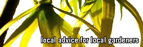 local advice for local gardeners